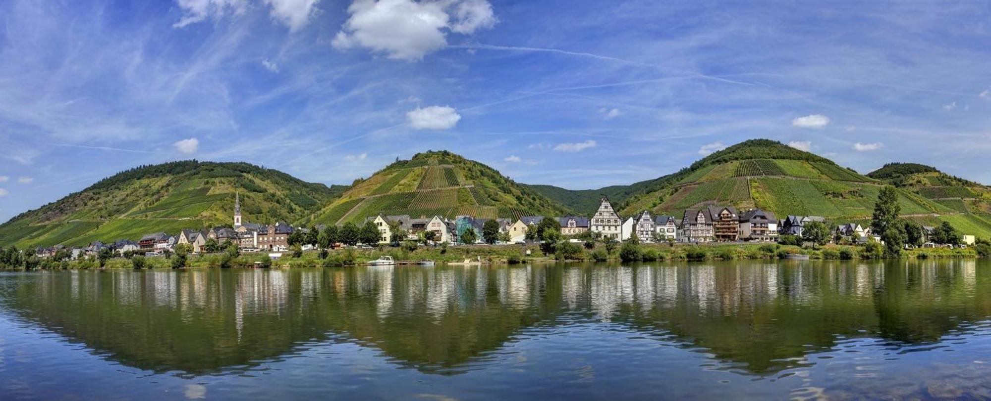 Springiersbacher Hof إيديغير إيلير المظهر الخارجي الصورة